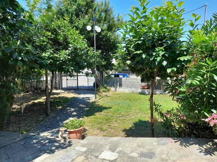 Apartment Blue Nea Michaniona